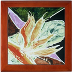Bird of Paradise Treasure Box