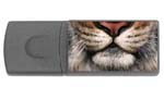 Tiger Flash Drive